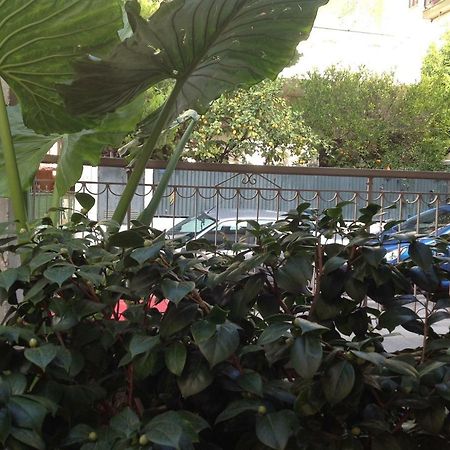 The 25Sqm Sunny, Modern And Comfortable Athen Eksteriør billede
